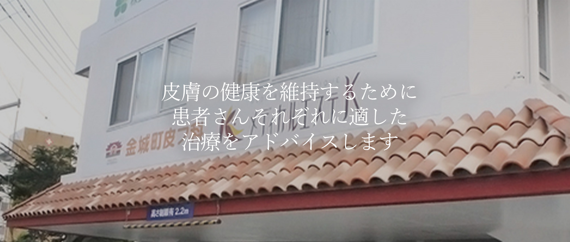 金城町皮フ科　外観